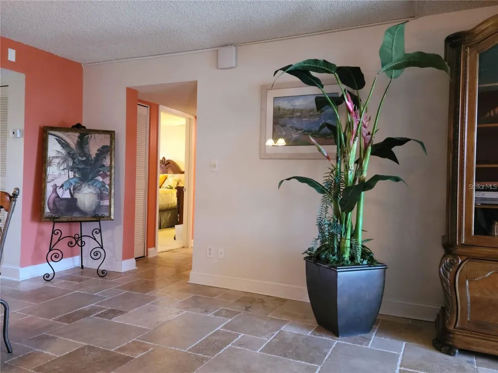 7405 BAY ISLAND DRIVE S #224 South Pasadena, FL 33707