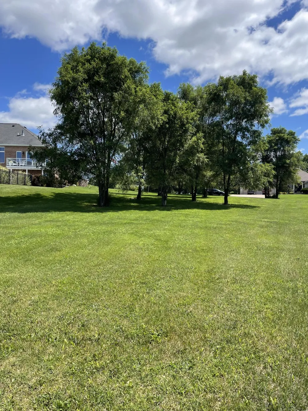 19 Coronado Drive Jackson, MI 49201