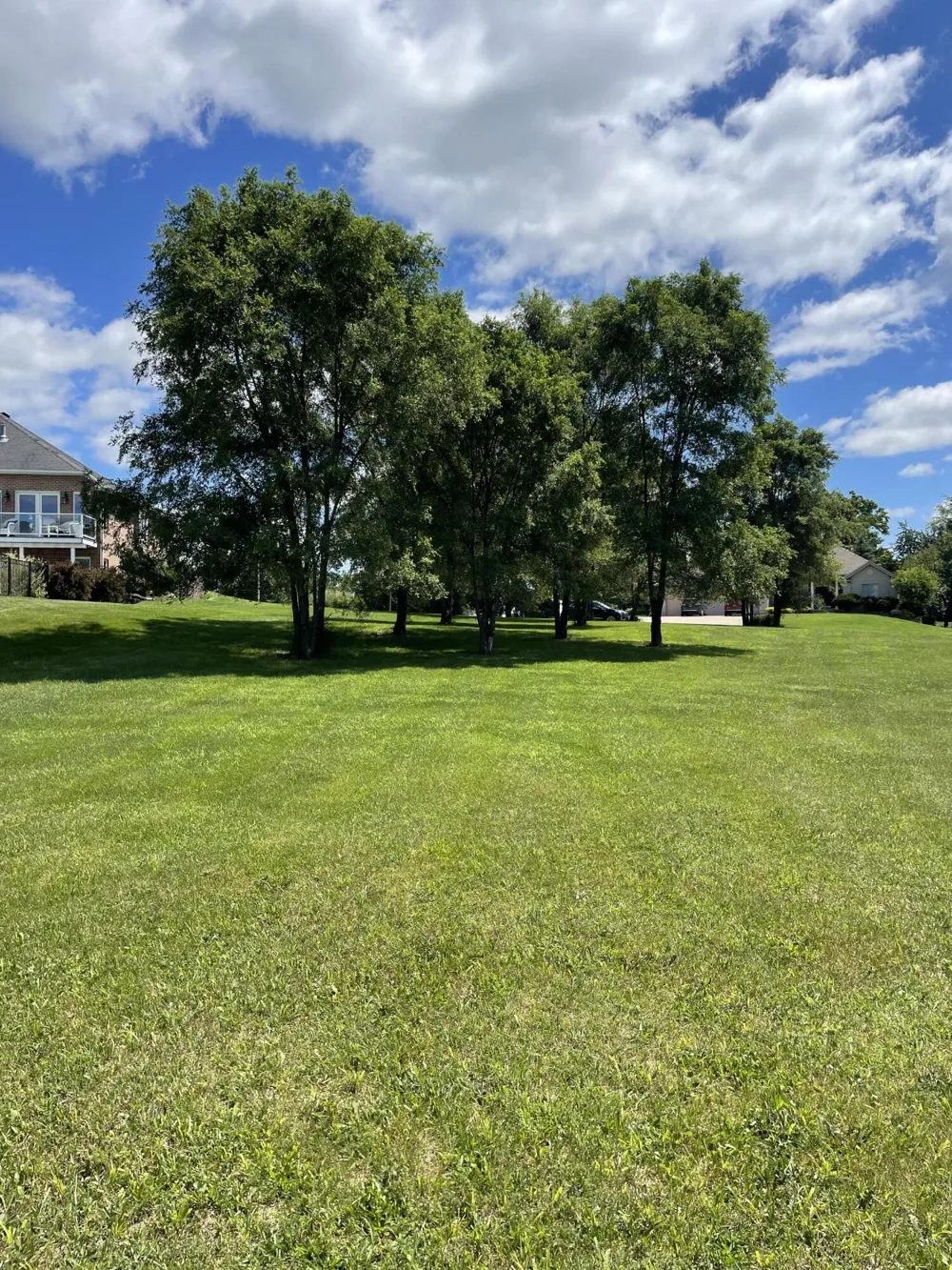 19 Coronado Drive Jackson, MI 49201