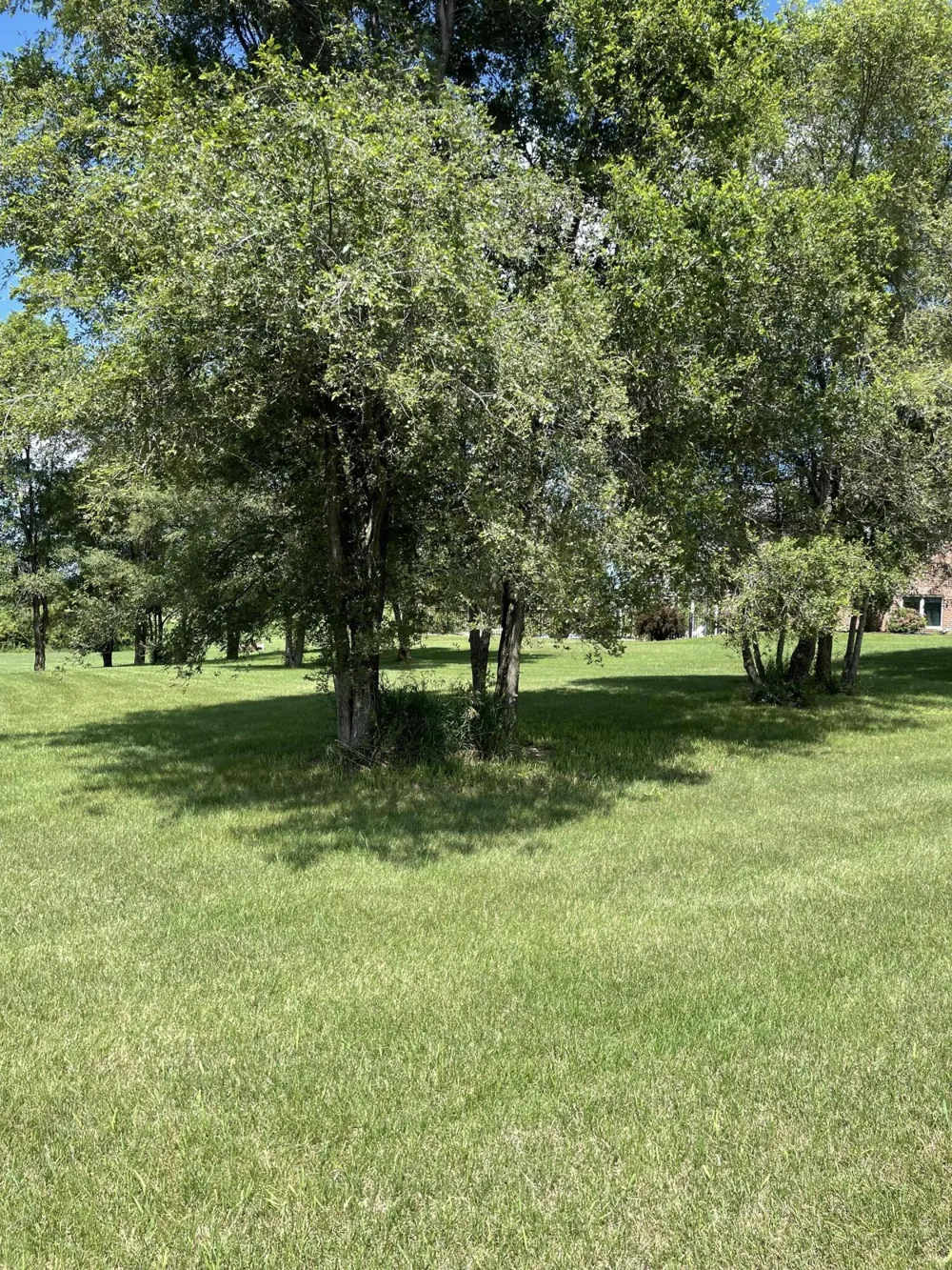 19 Coronado Drive Jackson, MI 49201