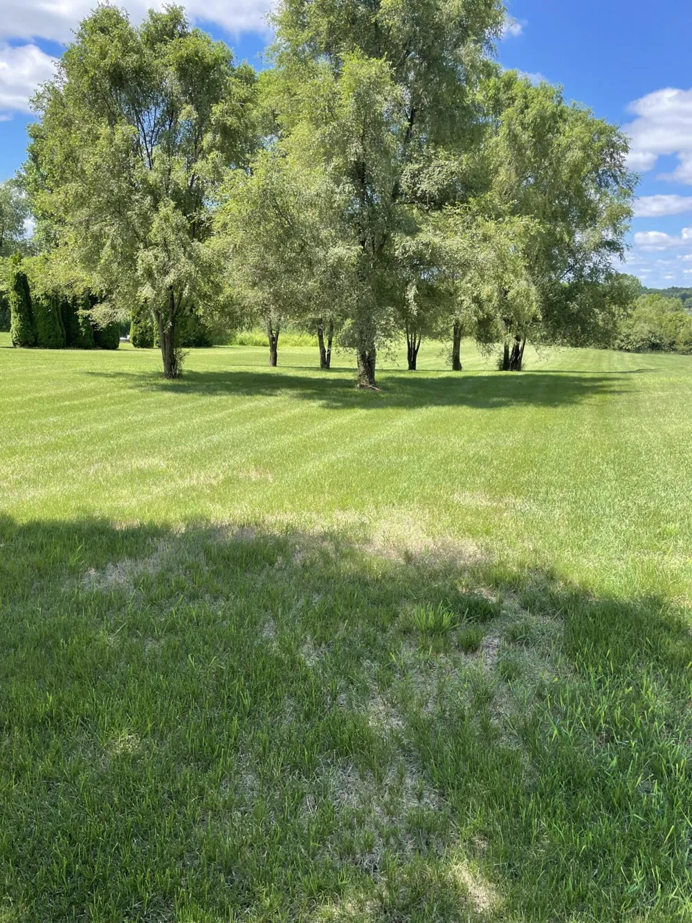 19 Coronado Drive Jackson, MI 49201