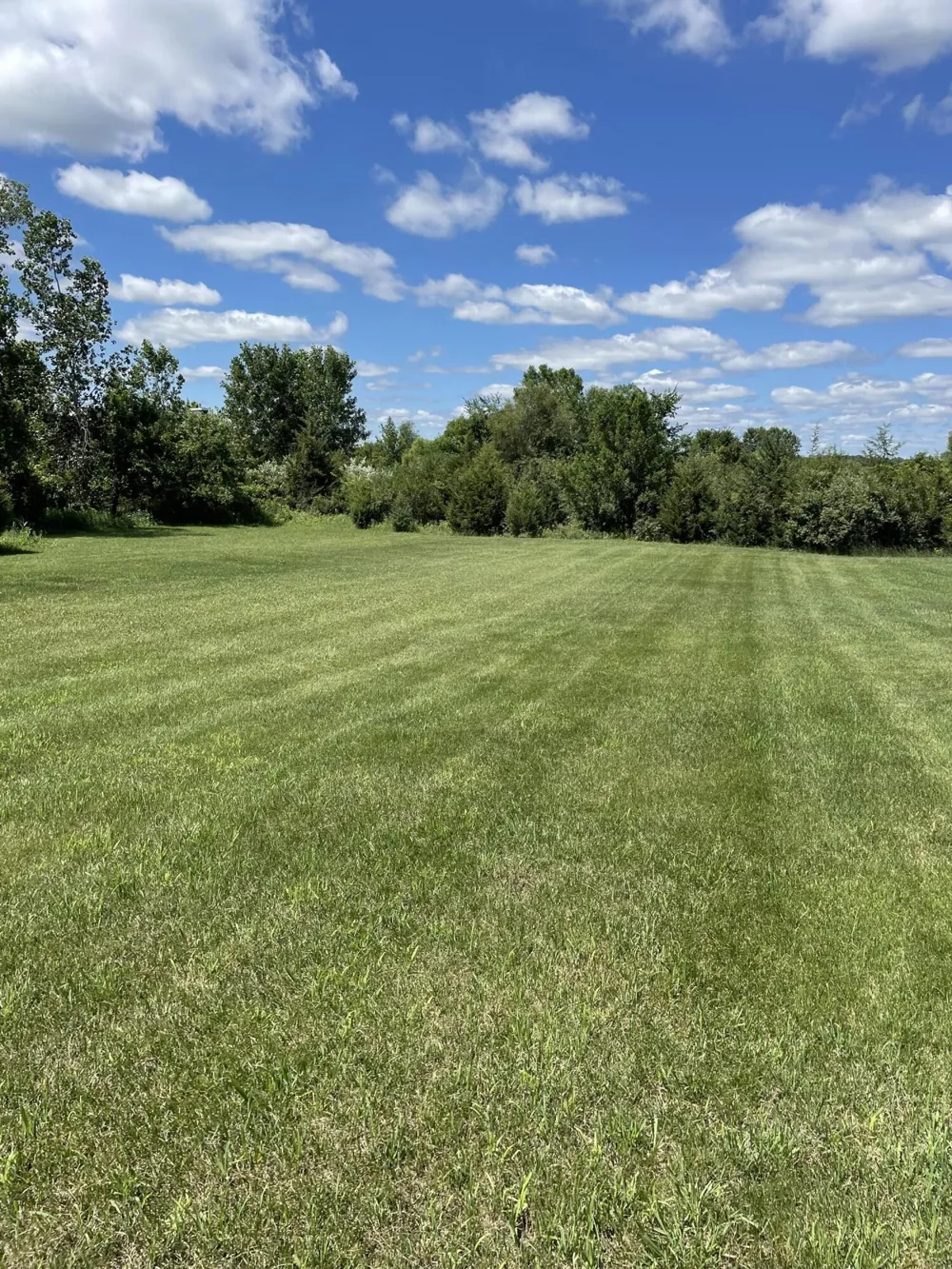 19 Coronado Drive Jackson, MI 49201