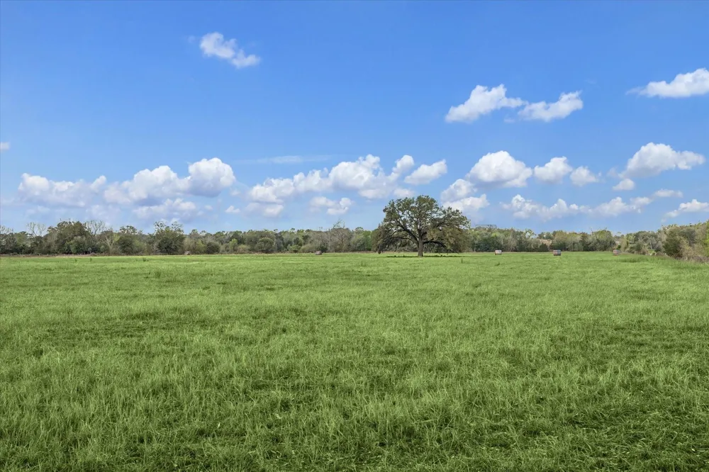 895 S Weyand Road Round Top, TX 78954