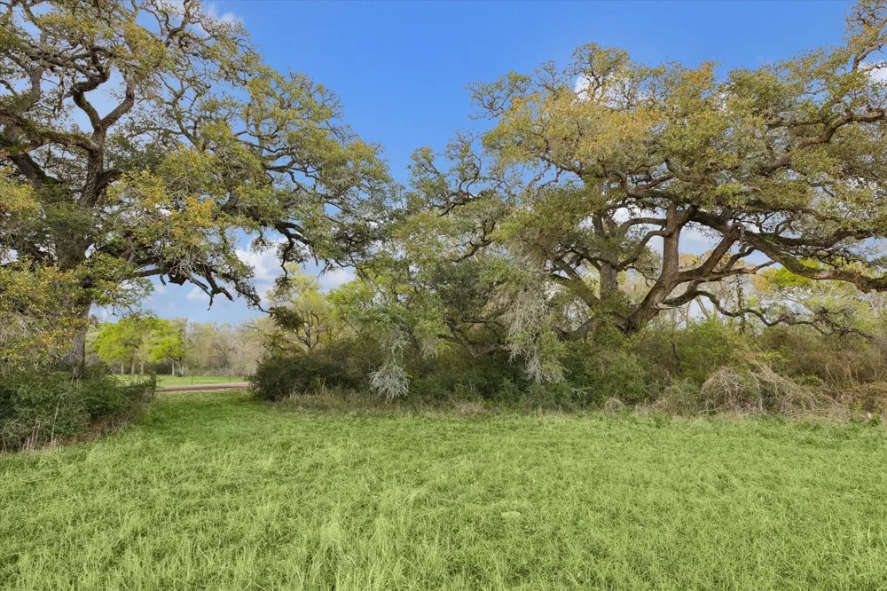 895 S Weyand Road Round Top, TX 78954