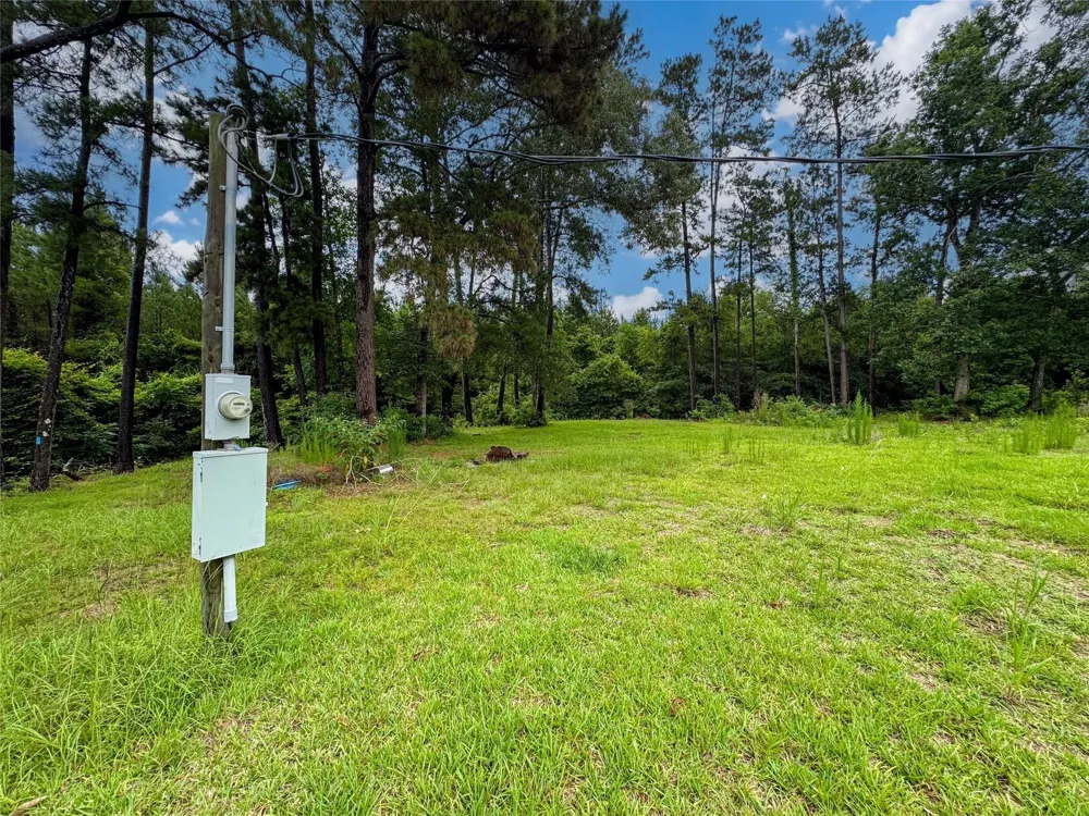 24888 Fm-787 Saratoga, TX 77585
