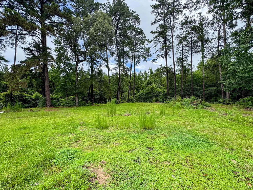 24888 Fm-787 Saratoga, TX 77585
