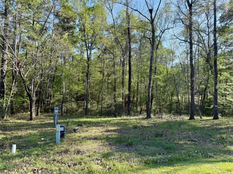 Leaning Oak Drive