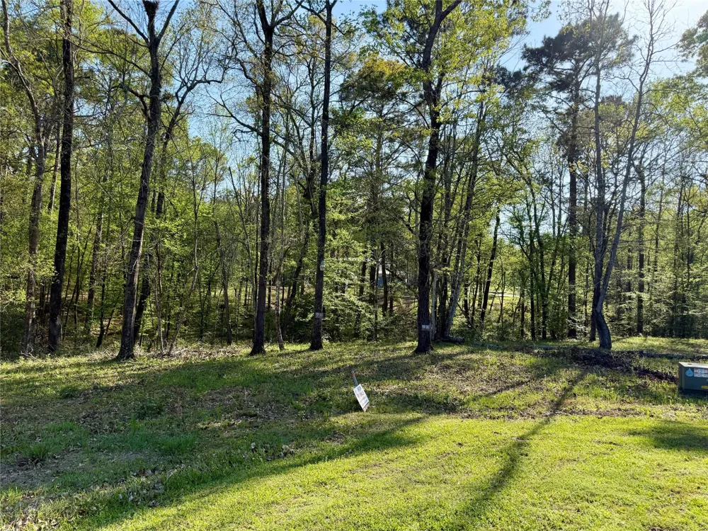 Leaning Oak Drive Point Blank, TX 77364