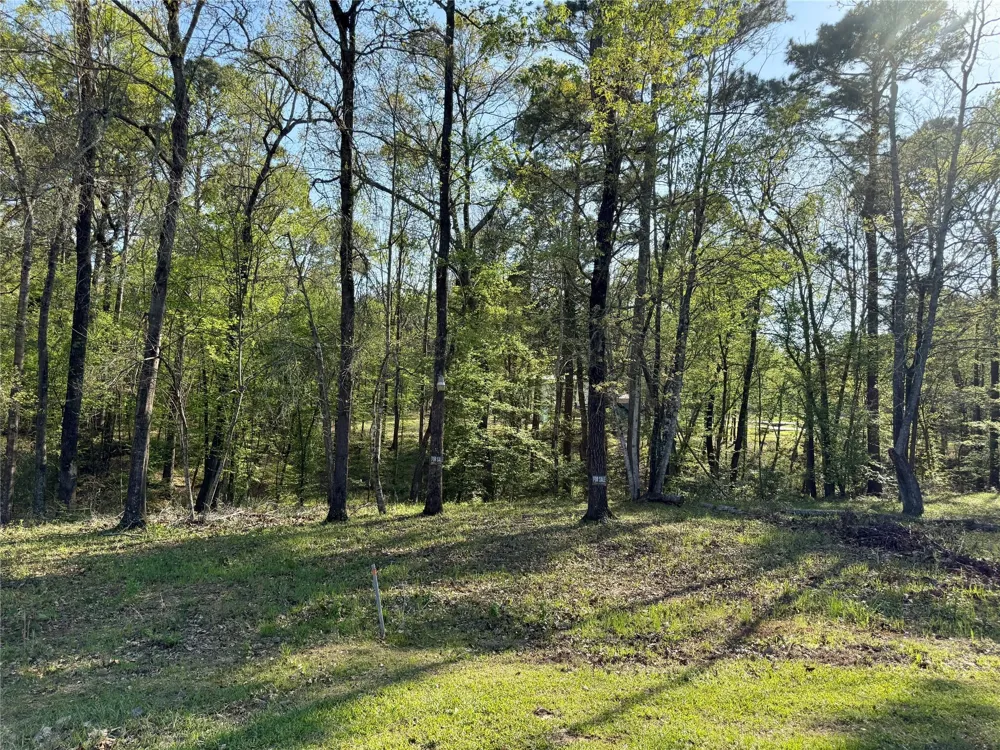 Leaning Oak Drive Point Blank, TX 77364