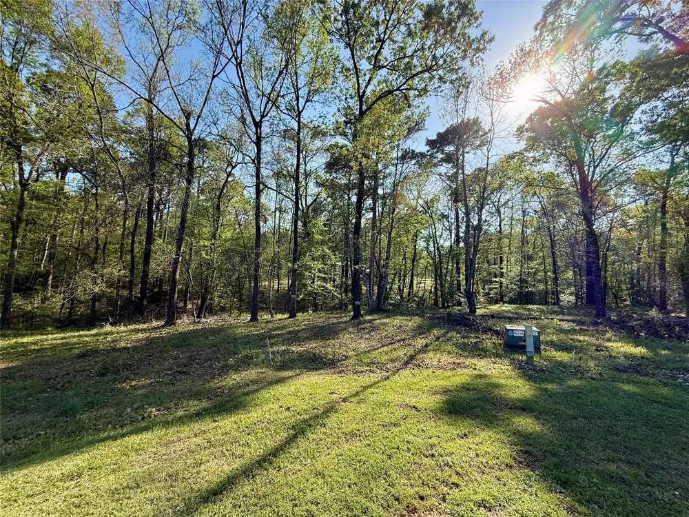 Leaning Oak Drive Point Blank, TX 77364