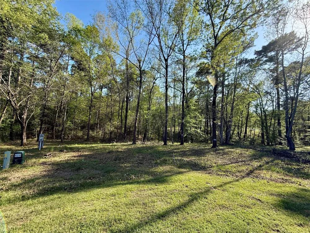 Leaning Oak Drive Point Blank, TX 77364