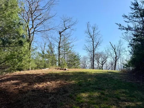 Lost Indian Trail