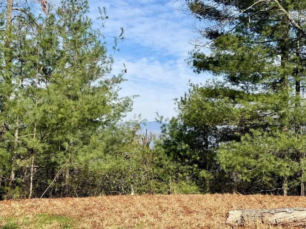 Lost Indian Trail Whittier, NC 28789