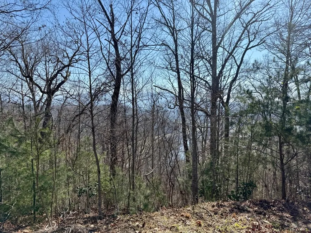 Lost Indian Trail Whittier, NC 28789