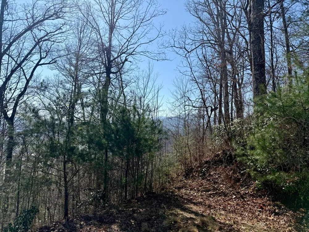 Lost Indian Trail Whittier, NC 28789