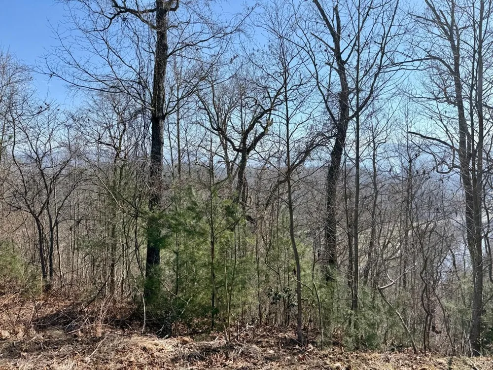 Lost Indian Trail Whittier, NC 28789