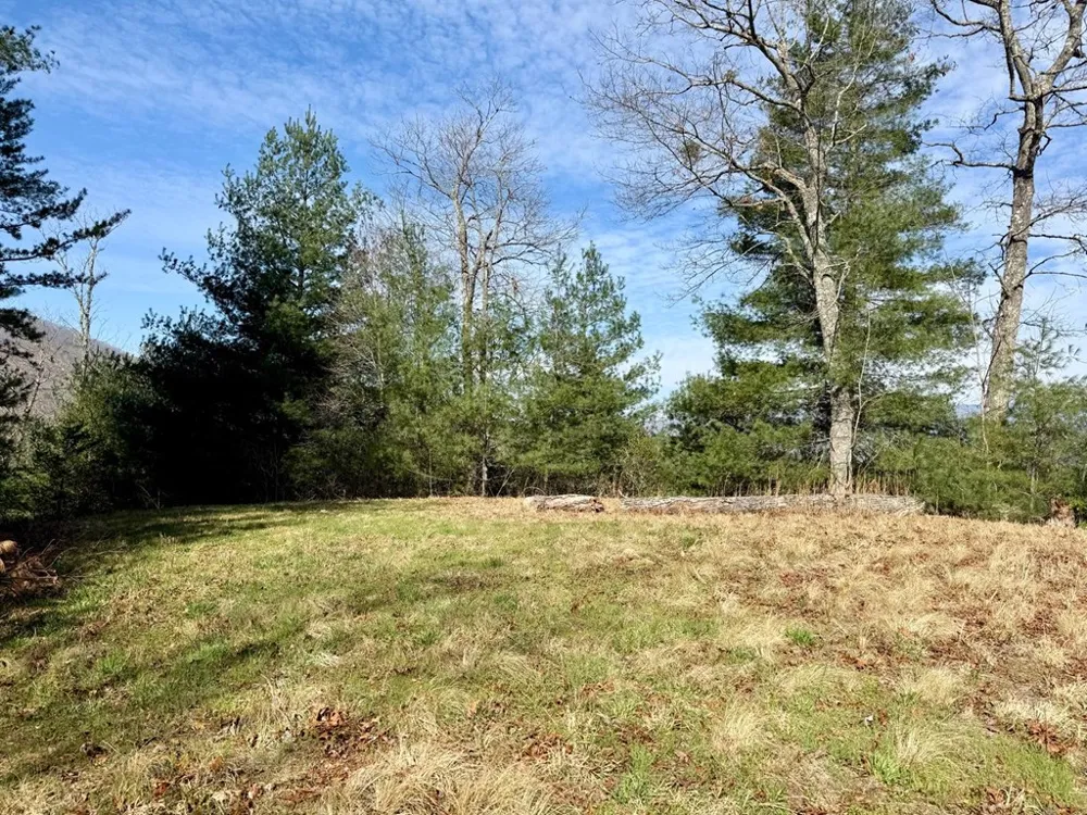 Lost Indian Trail Whittier, NC 28789