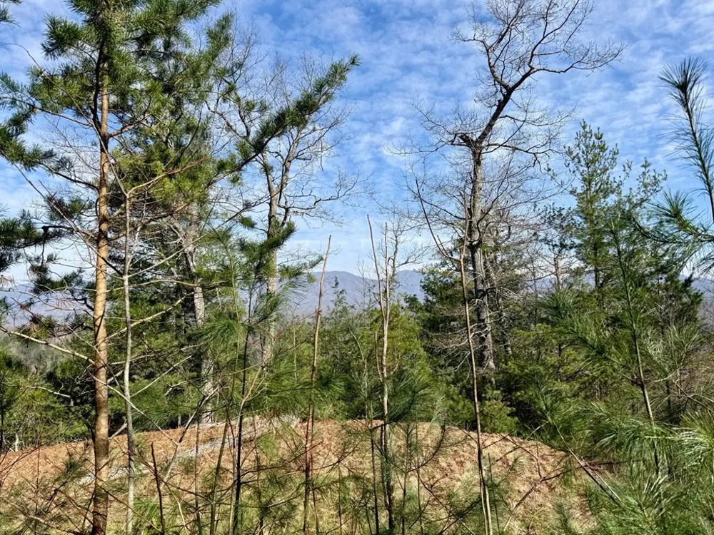 Lost Indian Trail Whittier, NC 28789
