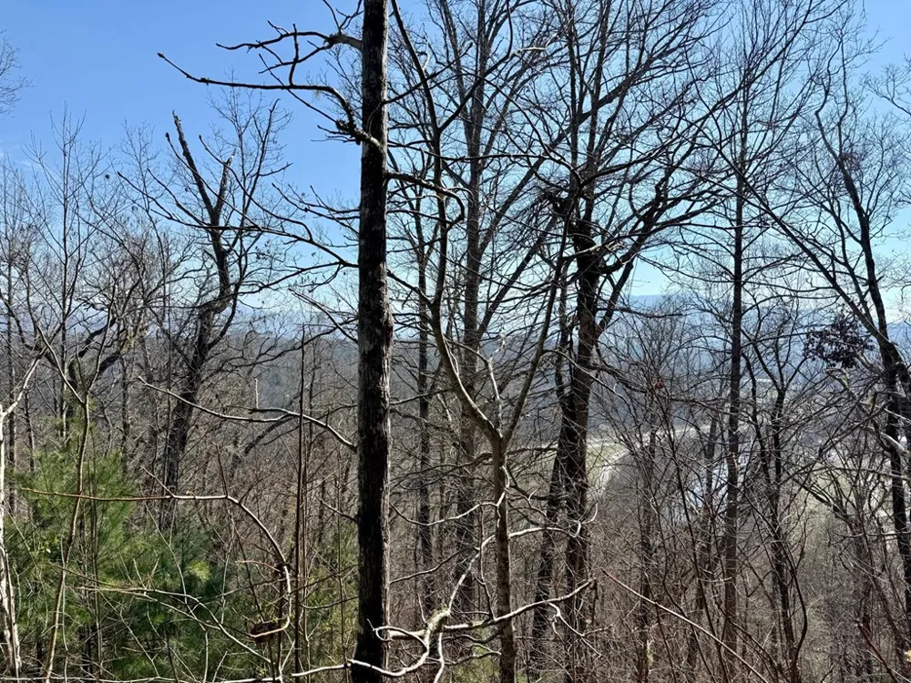 Lost Indian Trail Whittier, NC 28789