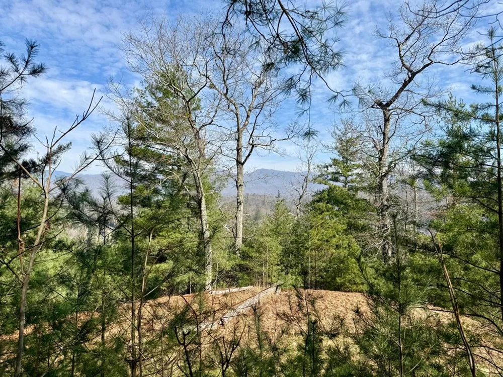 Lost Indian Trail Whittier, NC 28789