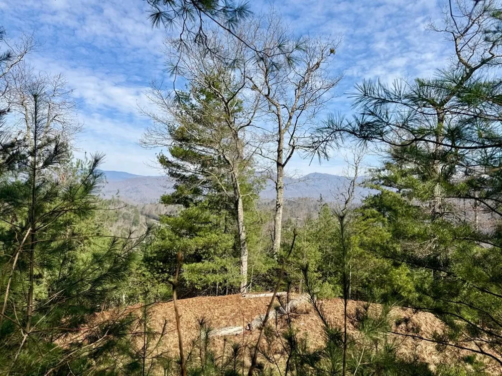 Lost Indian Trail Whittier, NC 28789