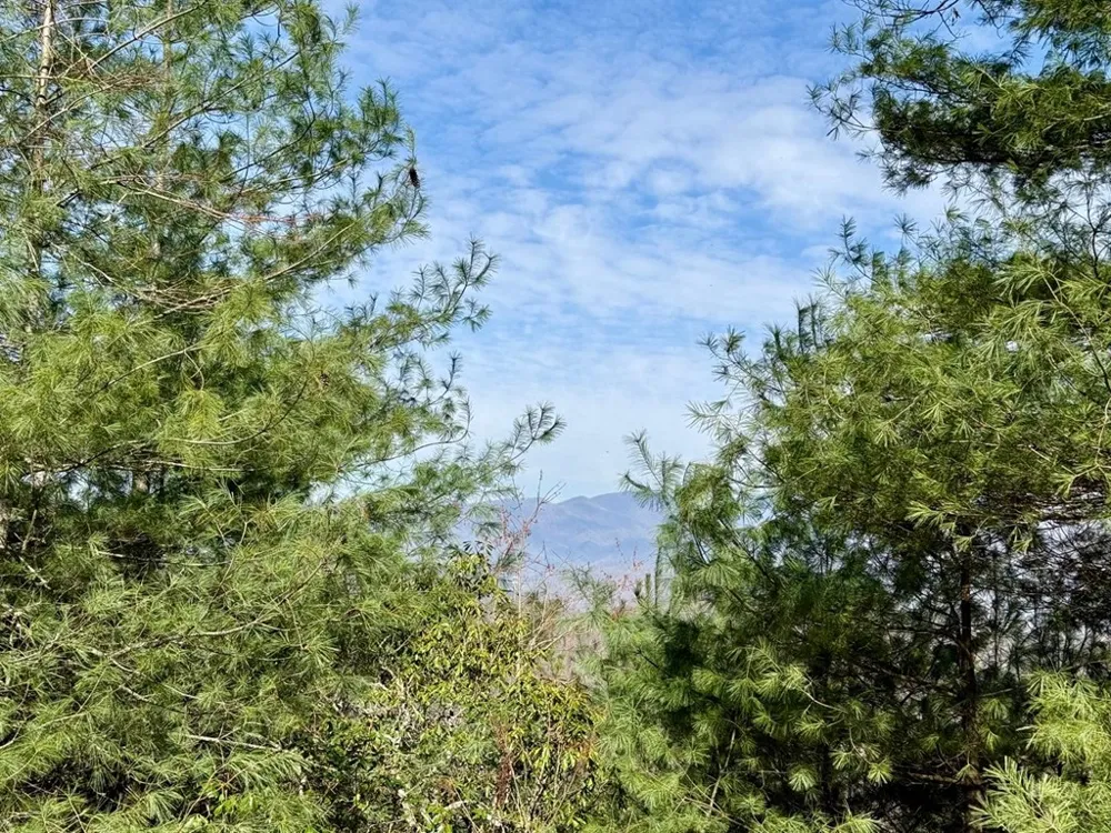 Lost Indian Trail Whittier, NC 28789