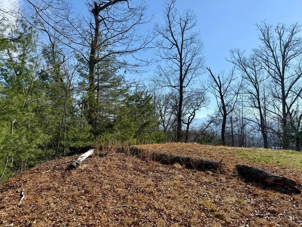 Lost Indian Trail Whittier, NC 28789
