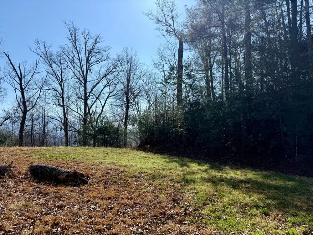 Lost Indian Trail Whittier, NC 28789