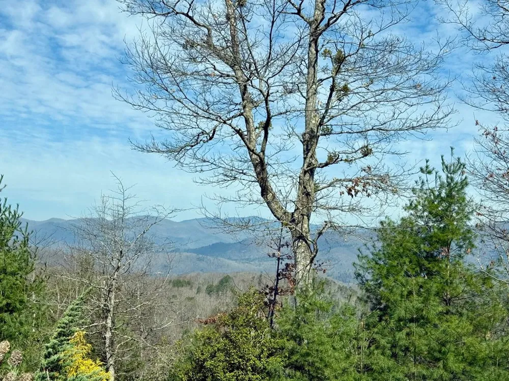 Lost Indian Trail Whittier, NC 28789