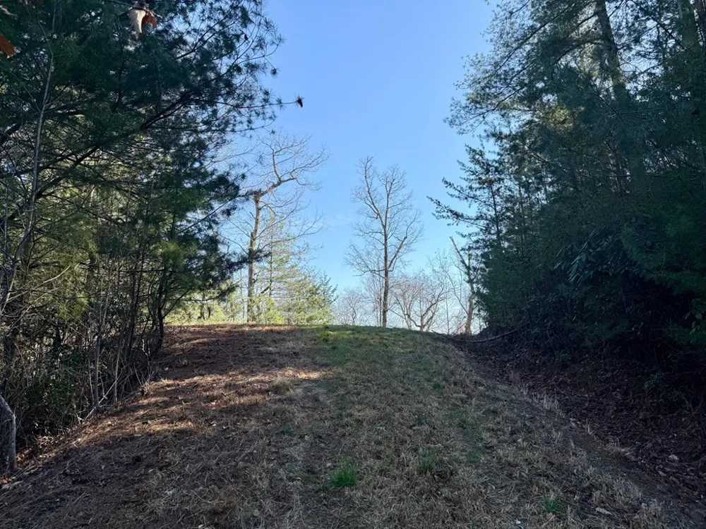 Lost Indian Trail Whittier, NC 28789