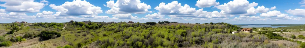 1620 Canyon Wren Loop Graford, TX 76449
