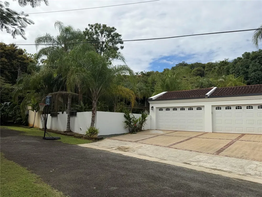 16 TRINITARIA Gurabo, PR 00778
