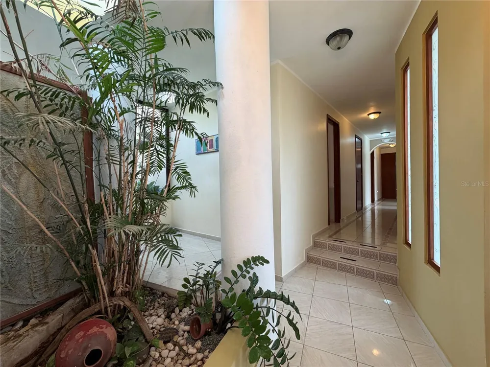 16 TRINITARIA Gurabo, PR 00778