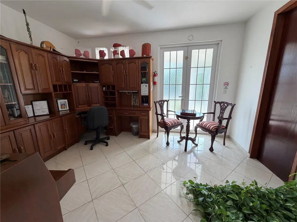 16 TRINITARIA Gurabo, PR 00778