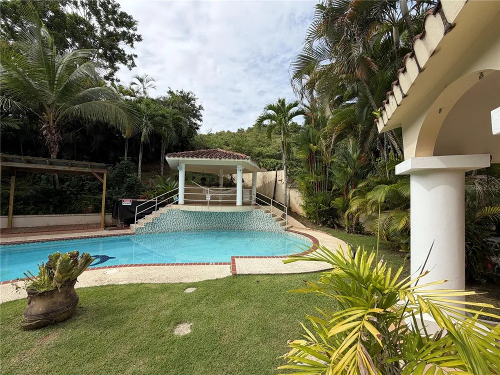 16 TRINITARIA Gurabo, PR 00778