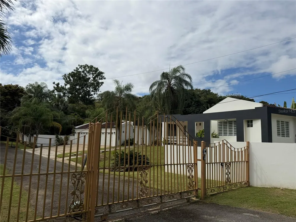 16 TRINITARIA Gurabo, PR 00778