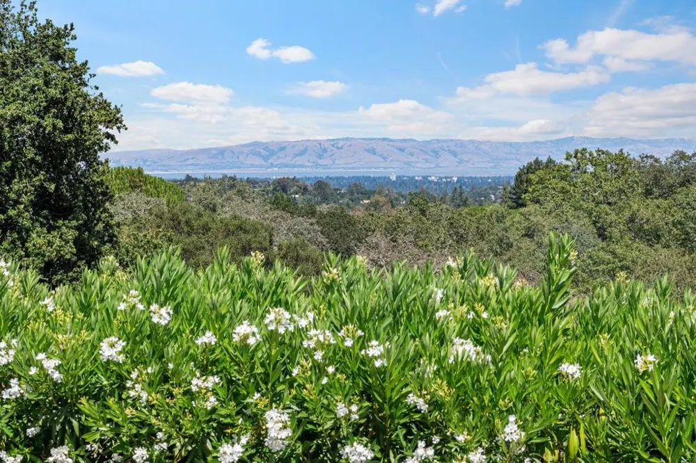 309 Olive Hill Lane Woodside, CA 94062