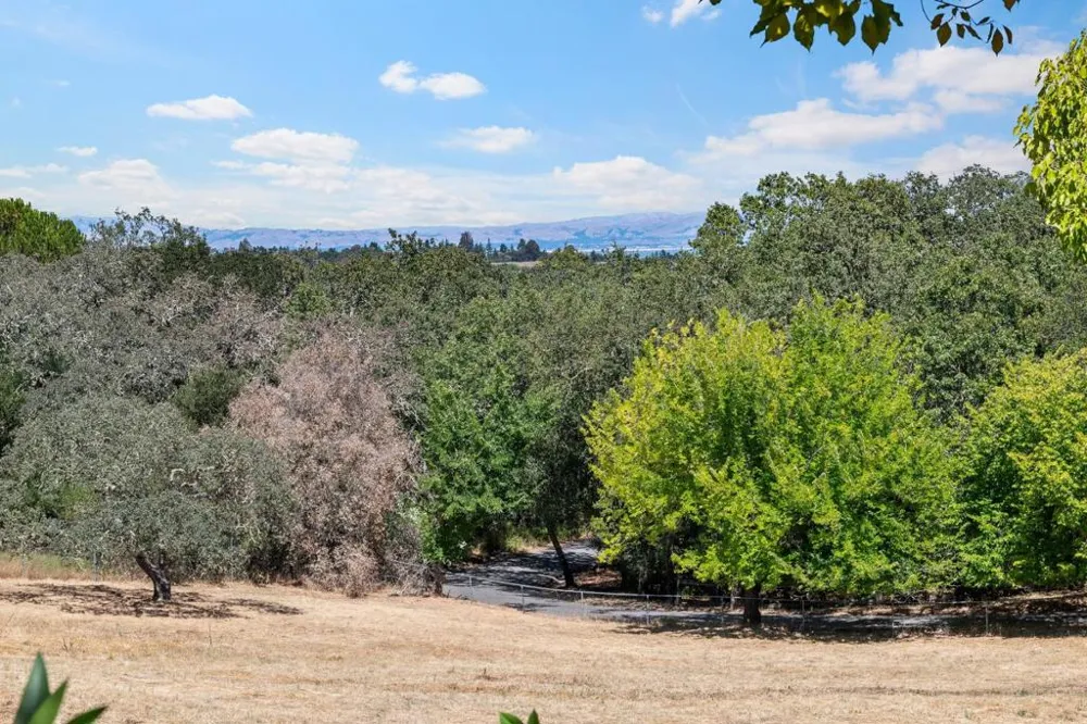 309 Olive Hill Lane Woodside, CA 94062