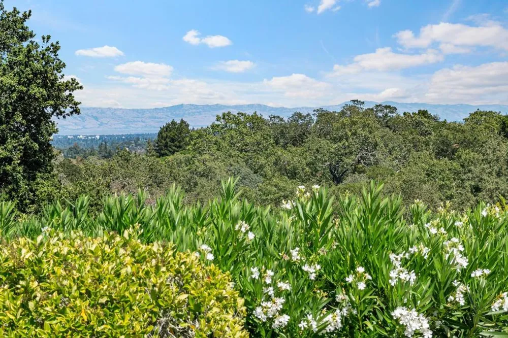 309 Olive Hill Lane Woodside, CA 94062