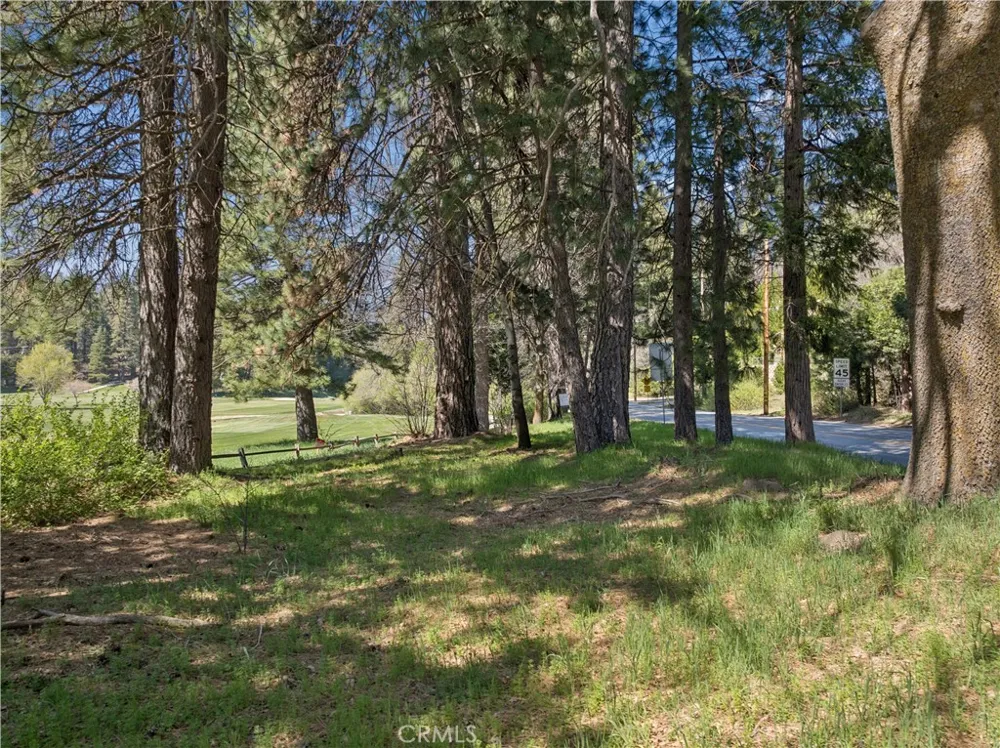 Grass Valley Twin Peaks, CA 92391