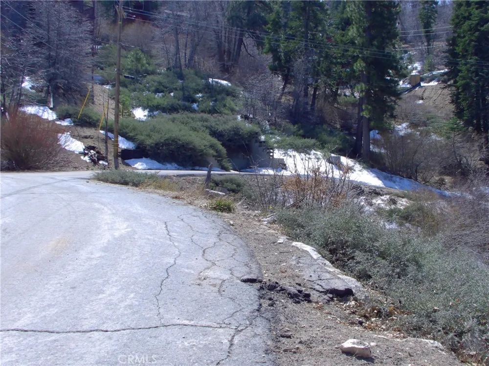 33564 Falling Leaf dr. Green Valley Lake, CA 92341