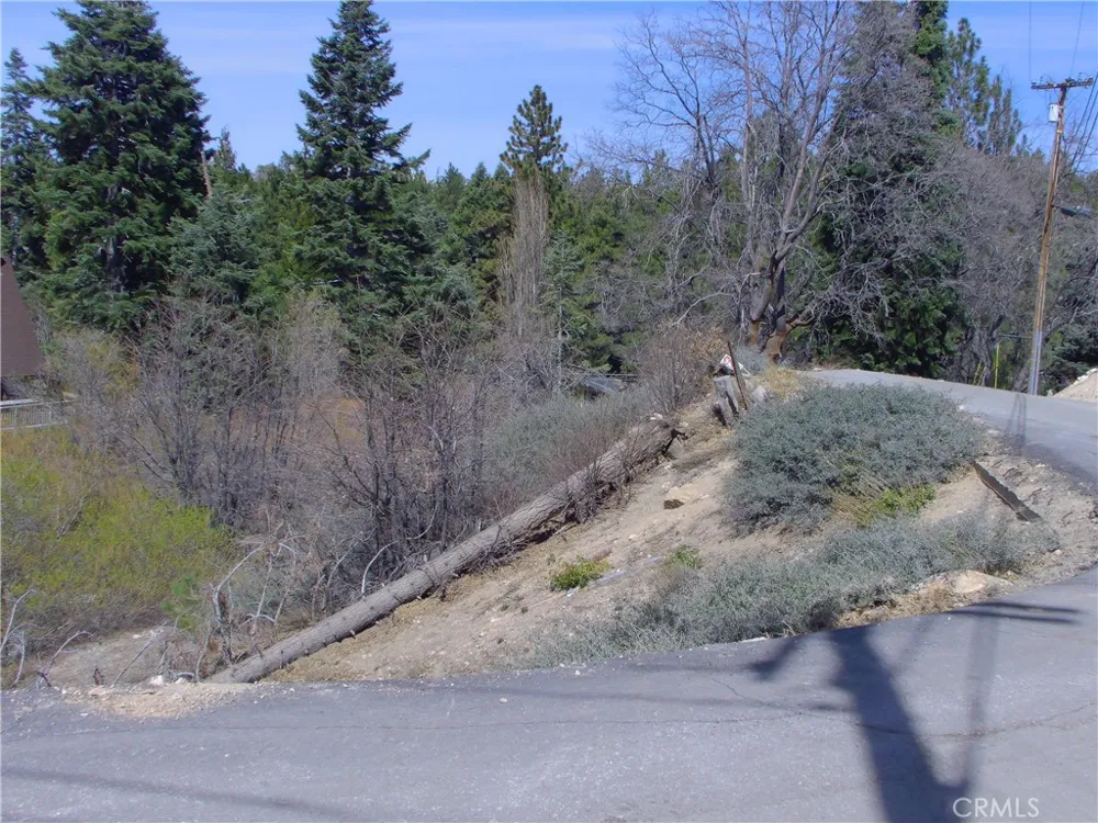 33564 Falling Leaf dr. Green Valley Lake, CA 92341