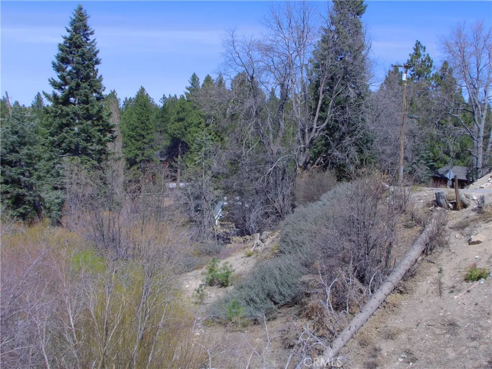 33564 Falling Leaf dr. Green Valley Lake, CA 92341