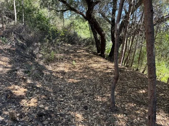 790040 Croy Road Morgan Hill, CA 95037
