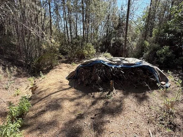 790040 Croy Road Morgan Hill, CA 95037