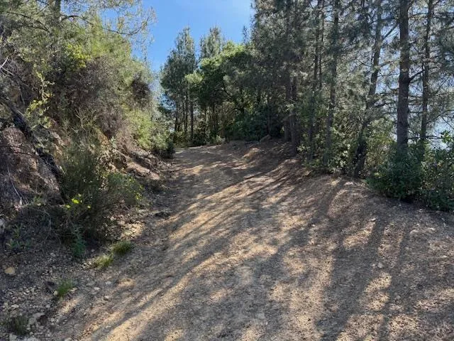 790040 Croy Road Morgan Hill, CA 95037