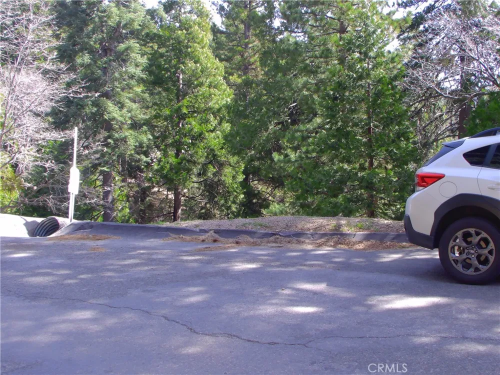 2379 Spring Oak Running Springs, CA 92382