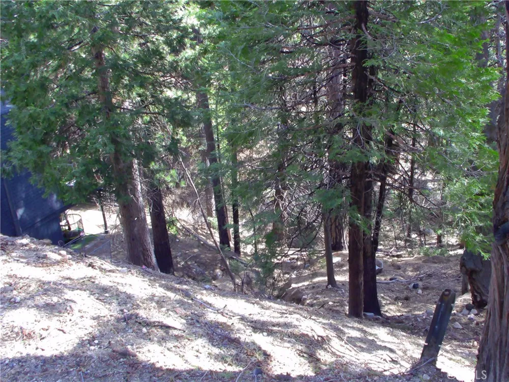 2379 Spring Oak Running Springs, CA 92382