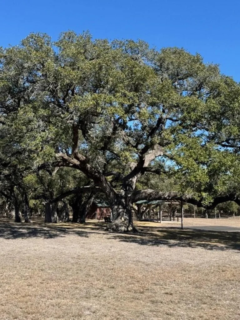 Wolters And Kainer Road Schulenburg, TX 78956