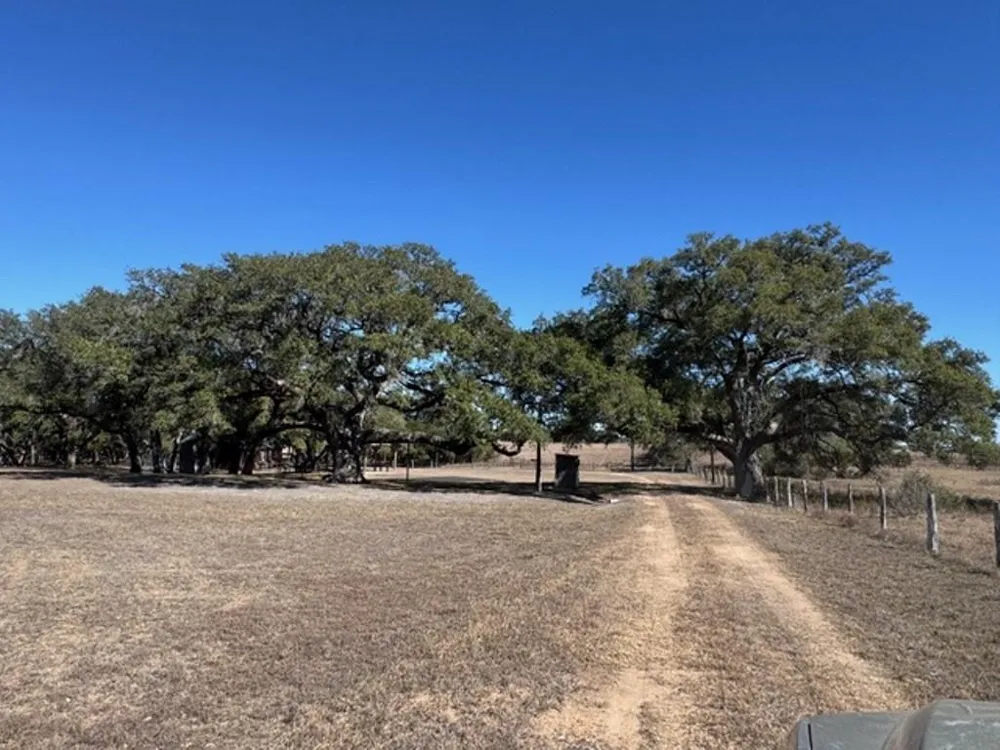 Wolters And Kainer Road Schulenburg, TX 78956